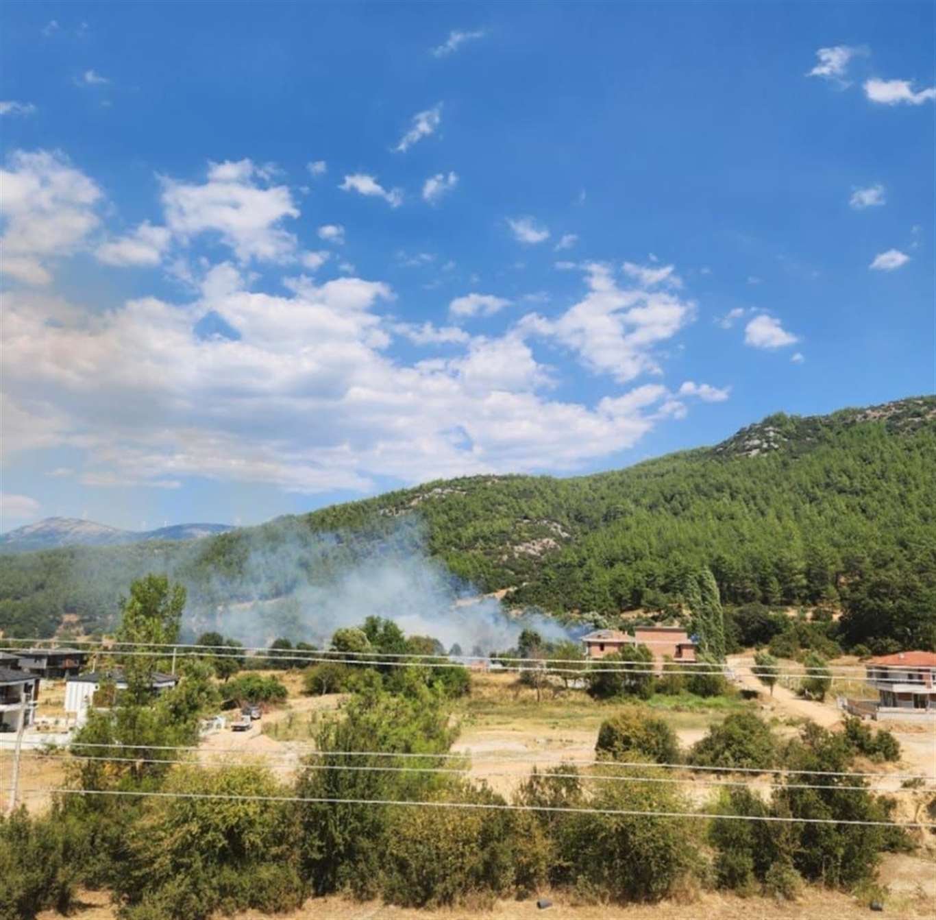  Menteşe Yeniköy'de çıkan yangın söndürüldü haberi